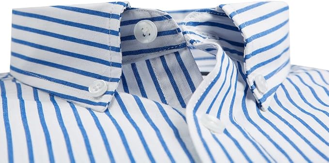 Men's Long Sleeve Striped Button Down Shirt
